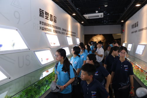 粤港澳大湾区禁毒文化交流活动在深圳举行，以文化艺术助力禁毒宣传